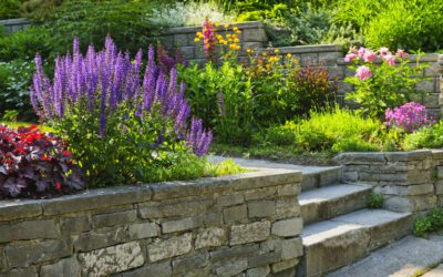 Hardscape Design Ideas That Add Value to Your Home